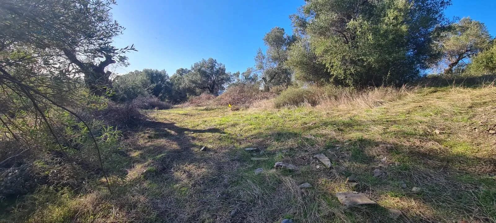 PLAC – TRIPOTAMOS · fotografija 16