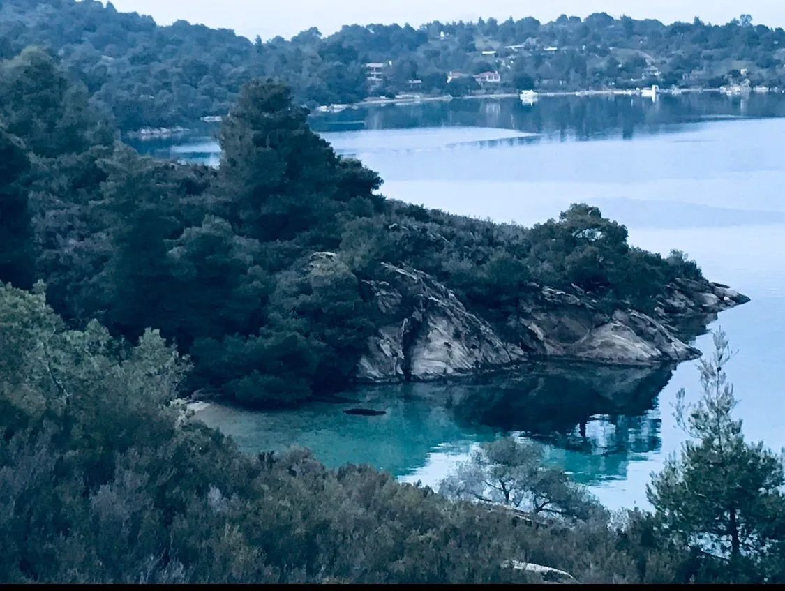 VILA – FTEROTI · fotografija 11