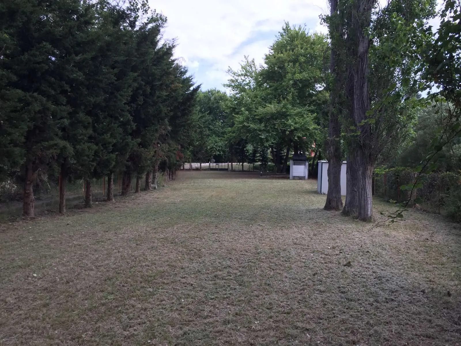 PLAC – TRIPOTAMOS
