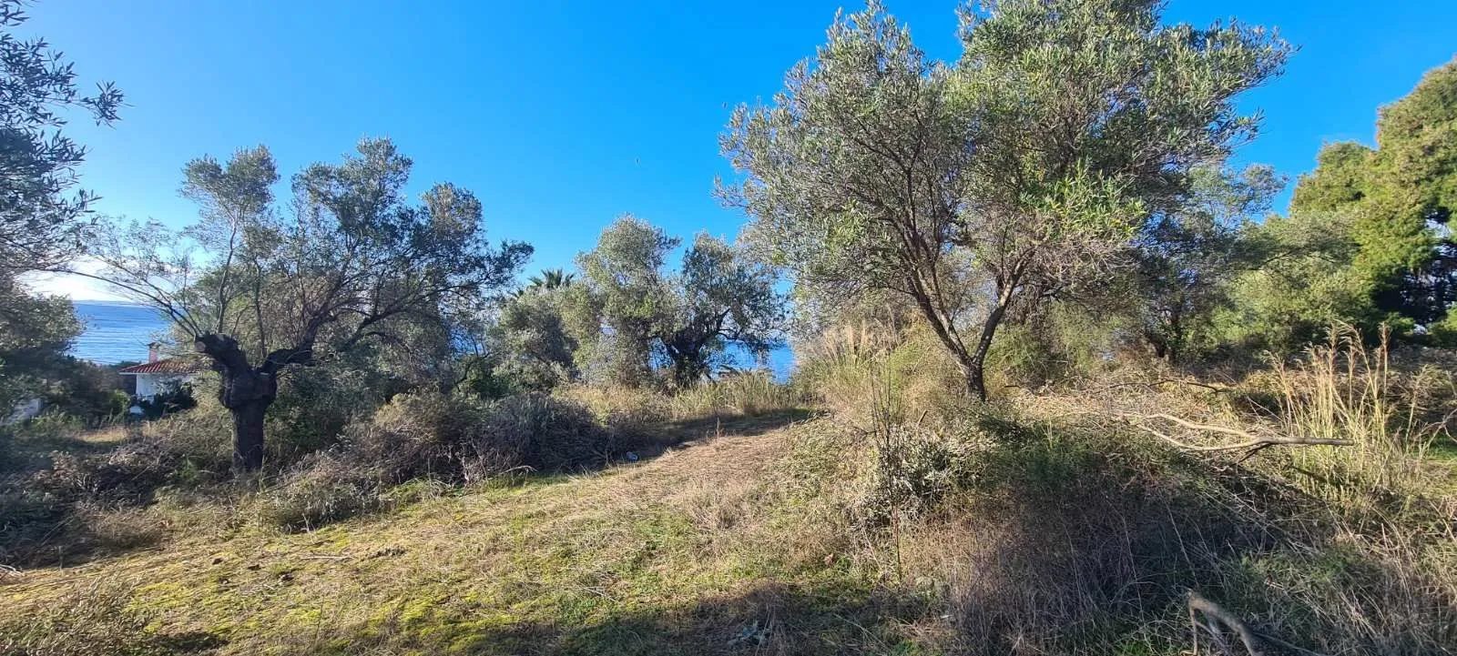 PLAC – TRIPOTAMOS · fotografija 10
