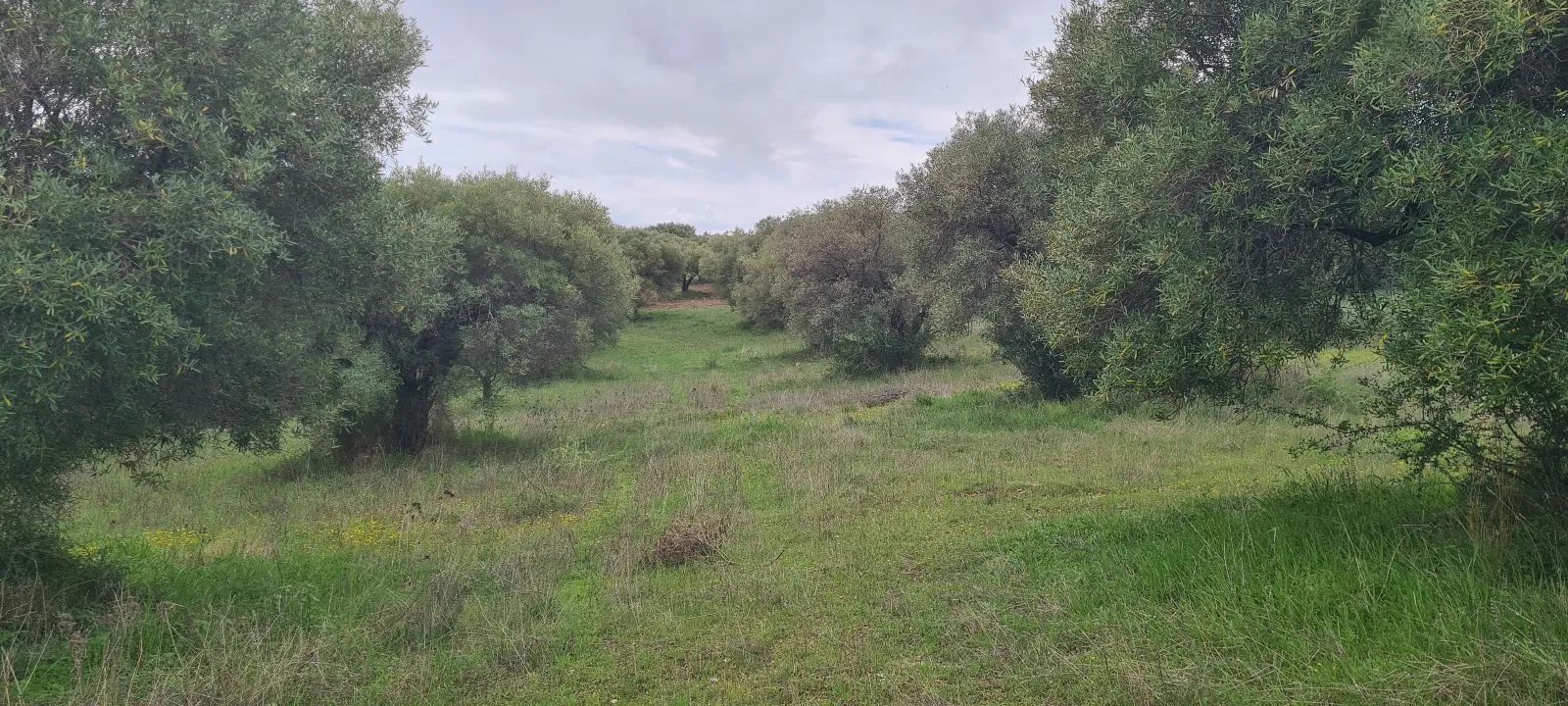 PLAC – AGIOS NIKOLAOS · fotografija 4