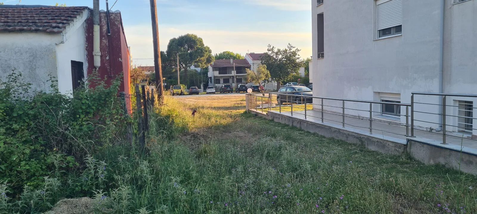 PLAC – PARADEISOS · fotografija 8
