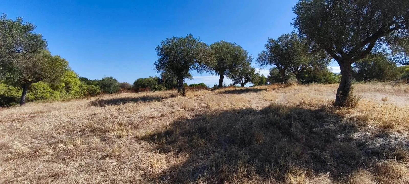 PLAC – ORMOS PANAGIAS · fotografija 12
