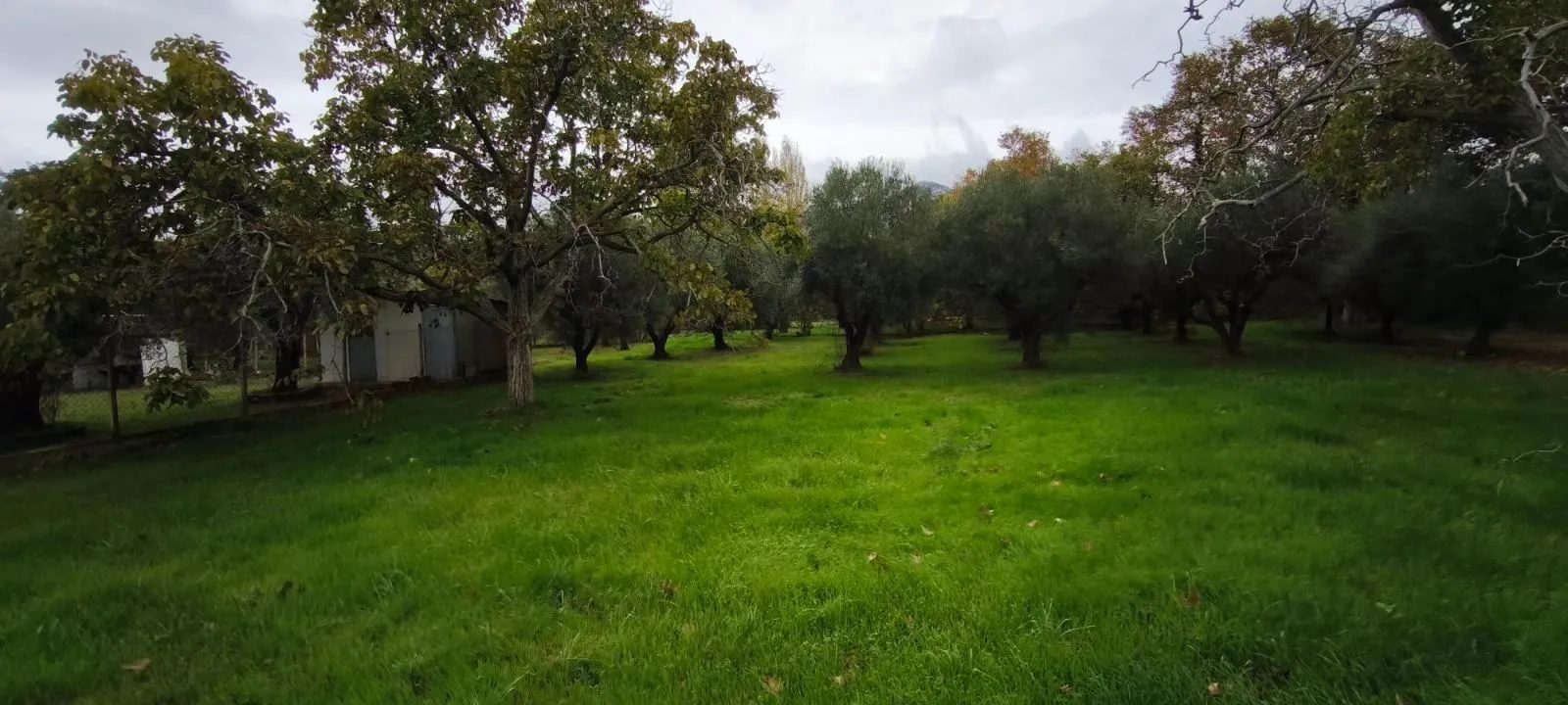 Plac – Neos Marmaras · fotografija 2