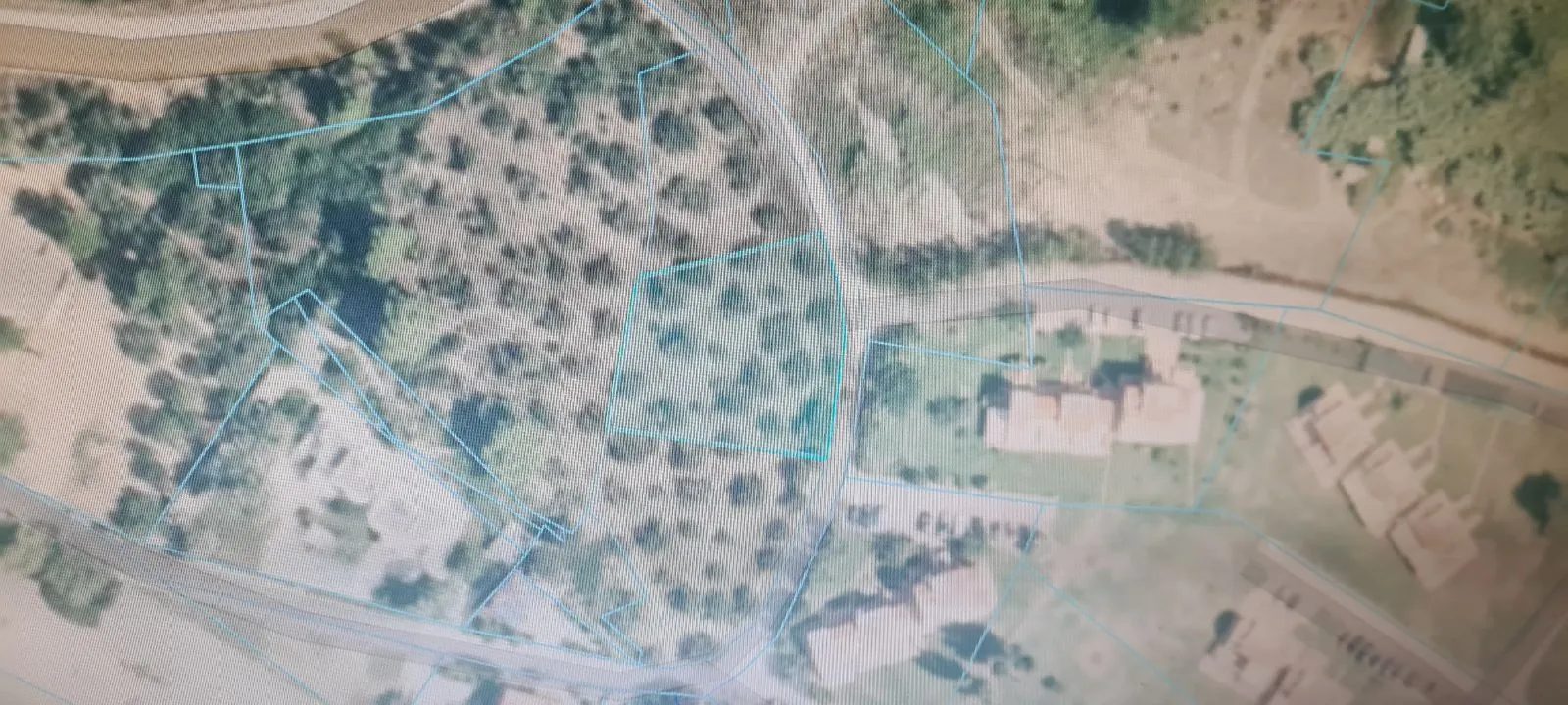 PLAC – TRIPOTAMOS