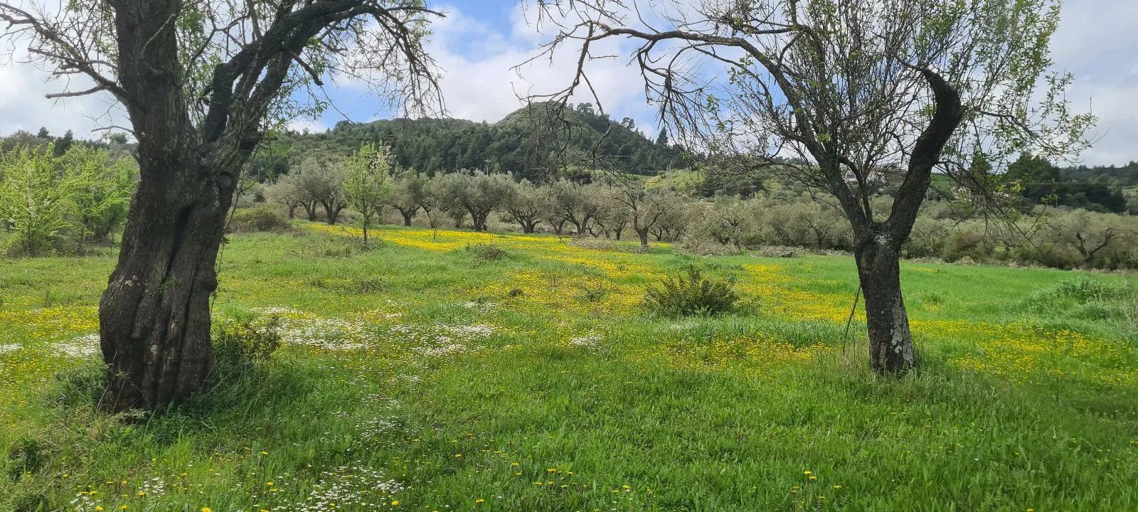 PLAC – AGIOS NIKOLAOS · fotografija 3