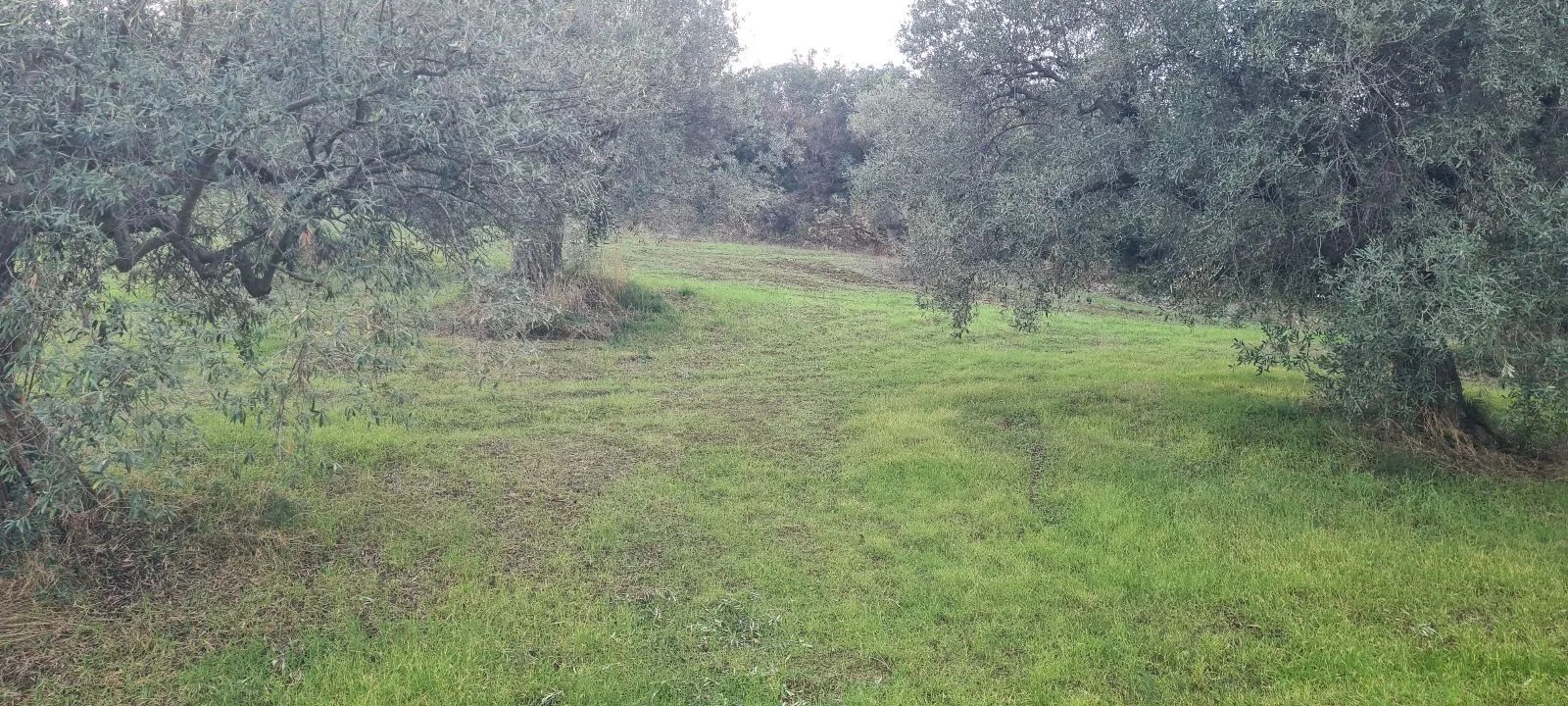 PLAC – SALONIKIOU · fotografija 13