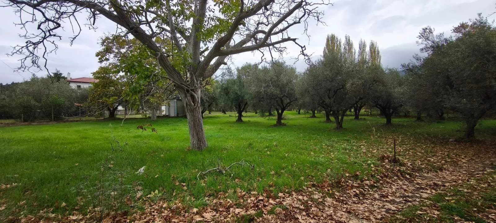 Plac – Neos Marmaras · fotografija 12