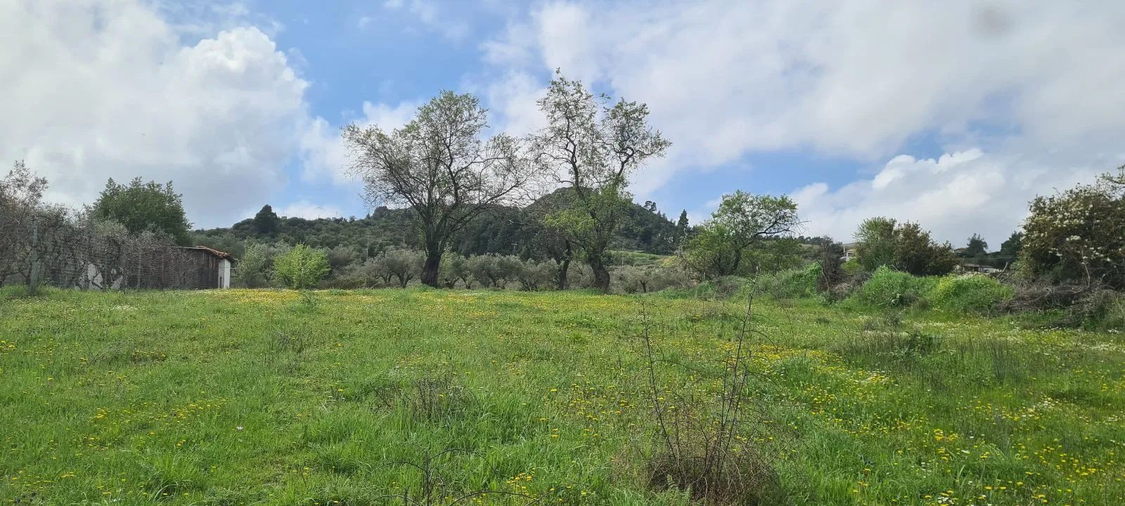 PLAC – AGIOS NIKOLAOS · fotografija 2