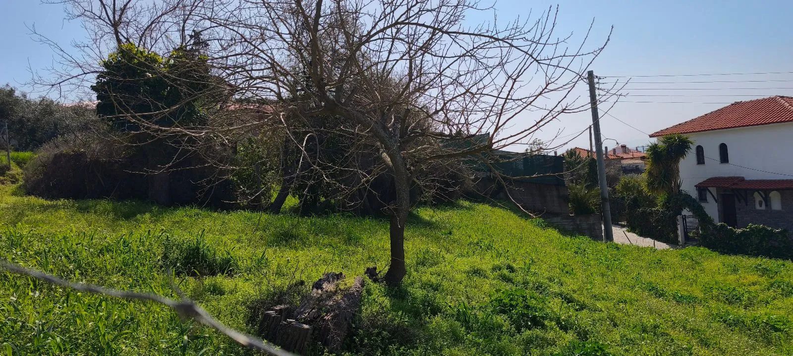 Plac – Nikiti · fotografija 13