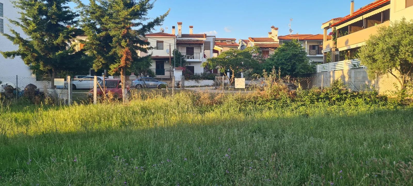 PLAC – PARADEISOS