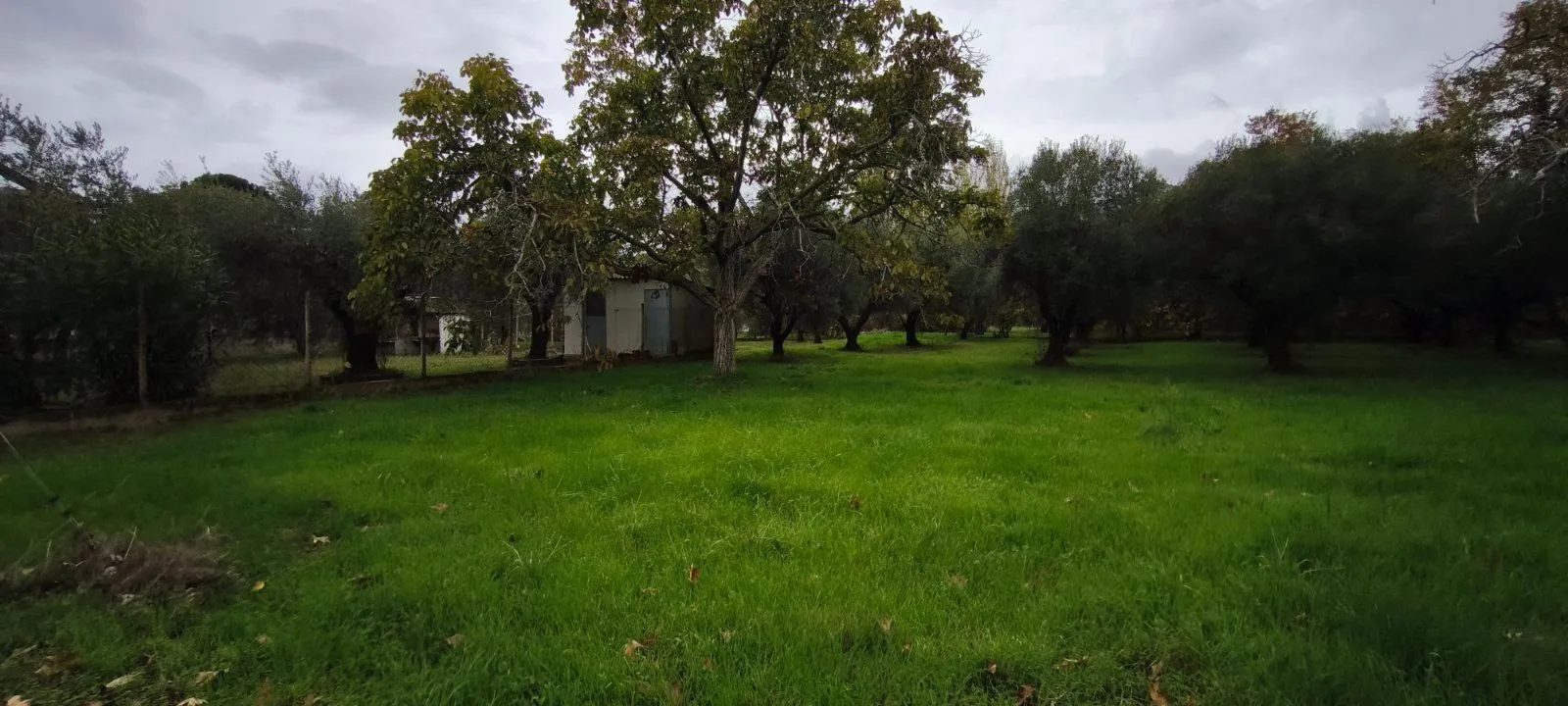 Plac – Neos Marmaras · fotografija 6