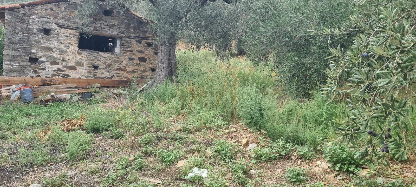 Grundstück – Pyrgadikia · Foto 2