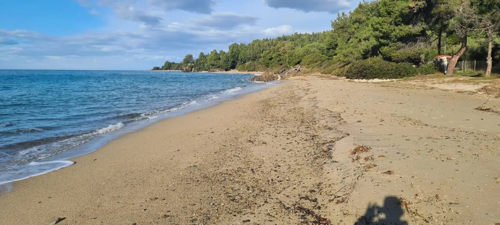 PLAC – TRIPOTAMOS · fotografija 7