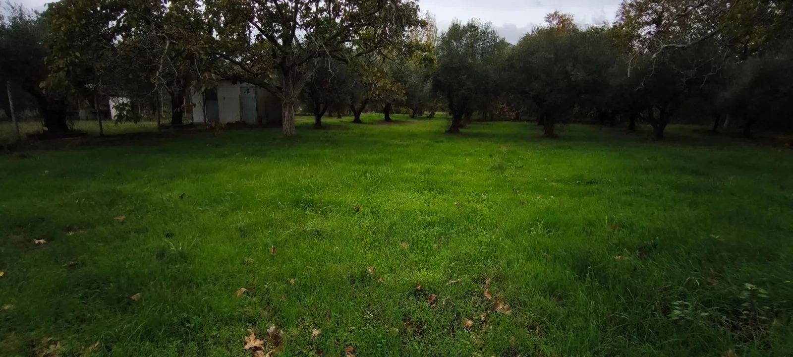 Plac – Neos Marmaras · fotografija 8