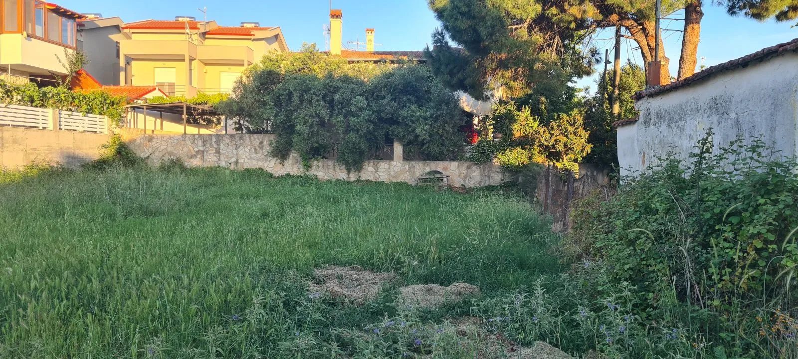 PLAC – PARADEISOS · fotografija 4