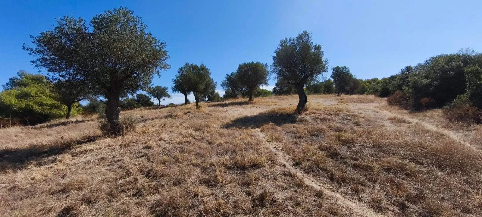 PLAC – ORMOS PANAGIAS · fotografija 14