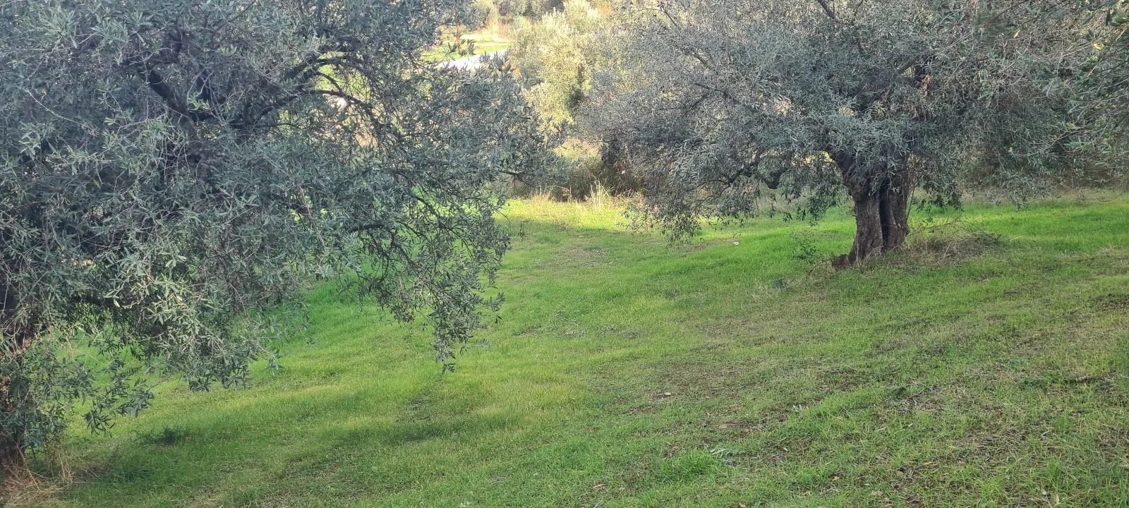 PLAC – SALONIKIOU · fotografija 3