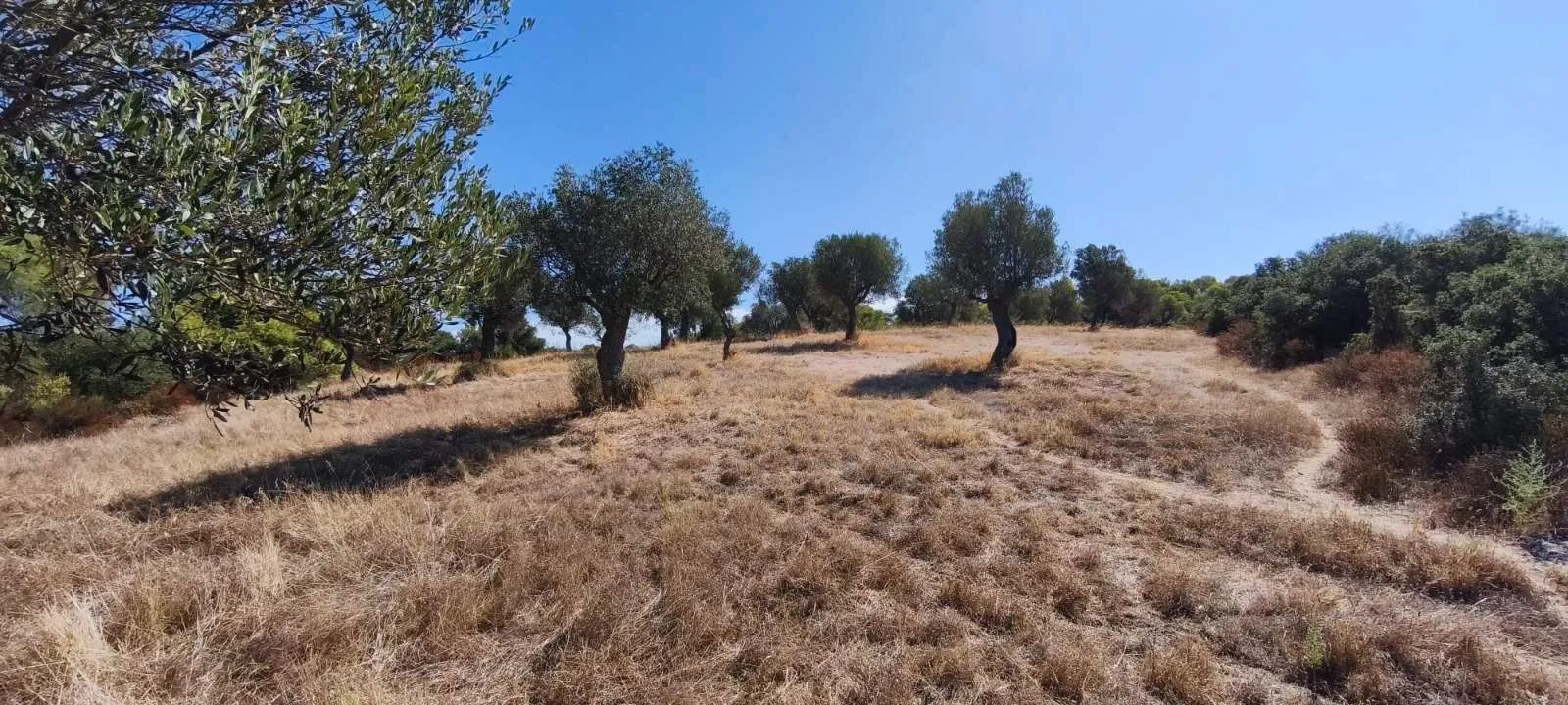 PLAC – ORMOS PANAGIAS · fotografija 9