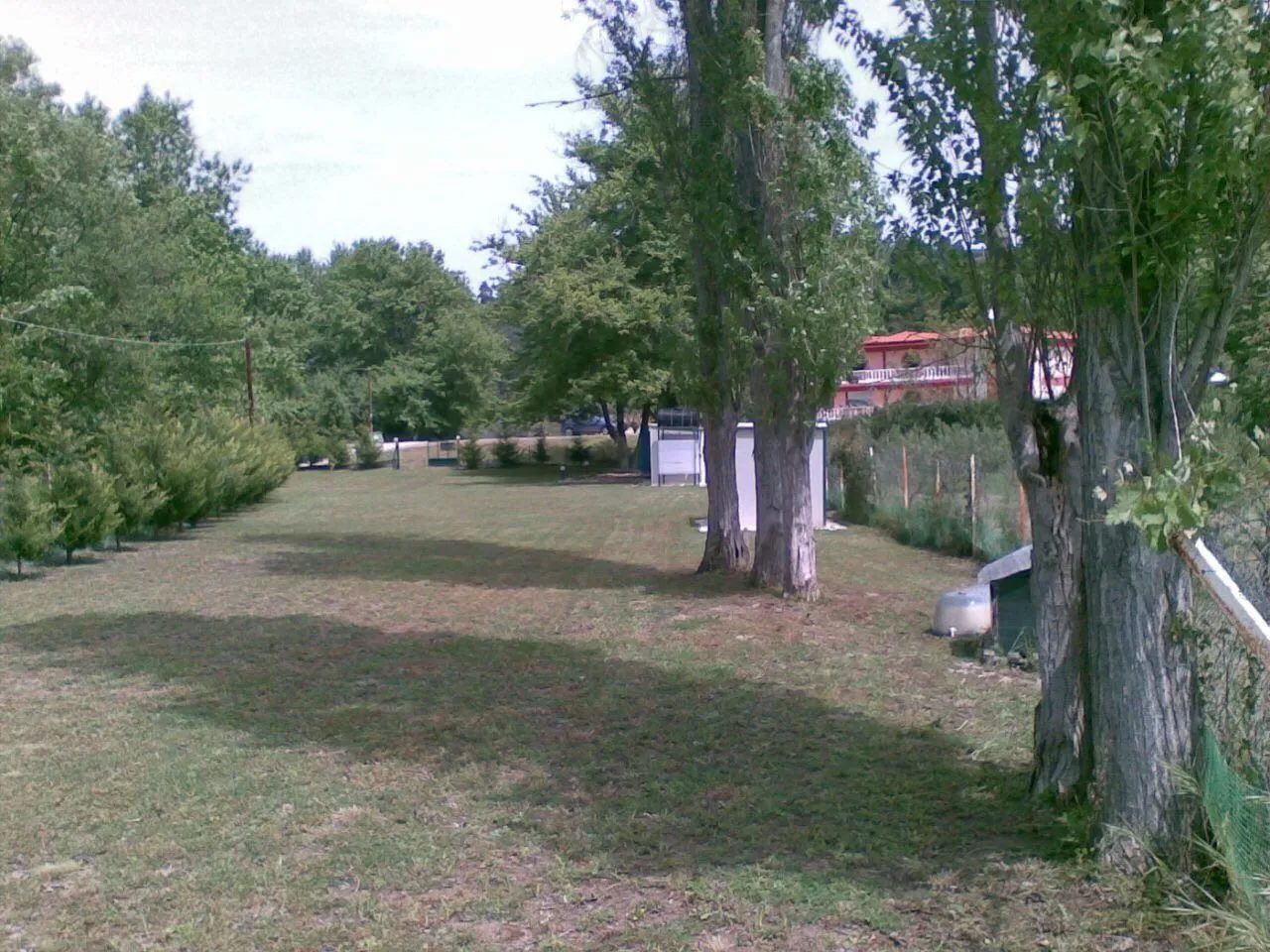 PLAC – TRIPOTAMOS · fotografija 3