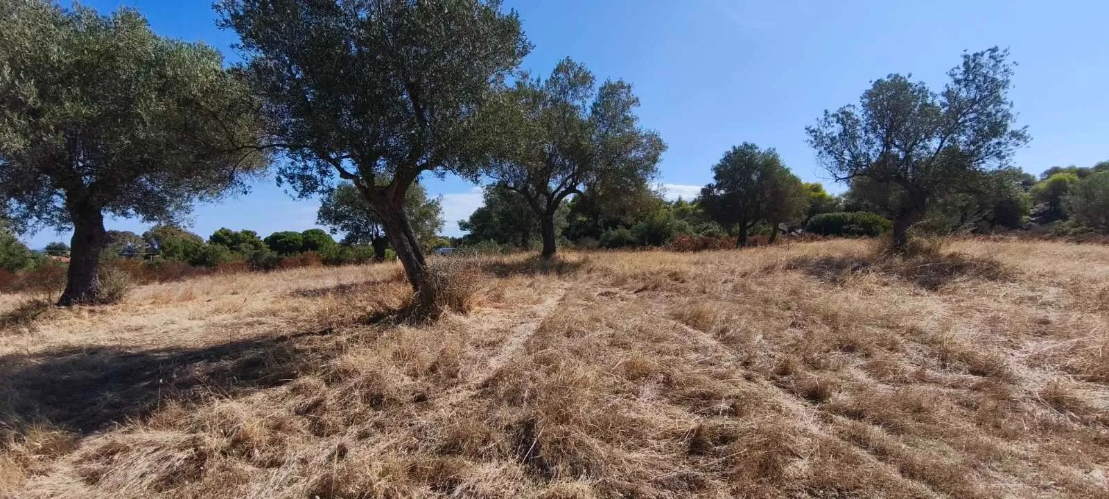 PLAC – ORMOS PANAGIAS · fotografija 5
