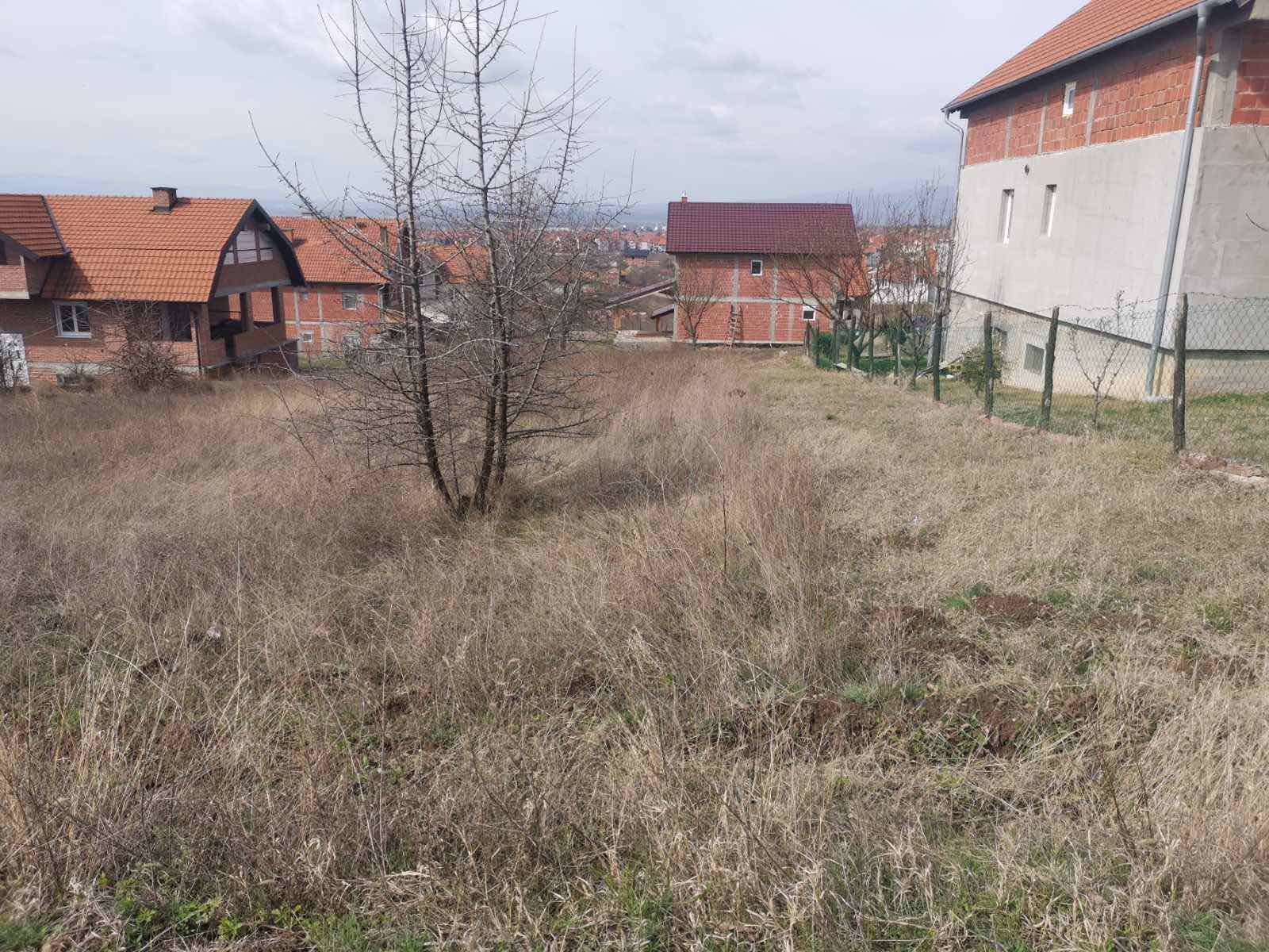 PLAC – BRANKO BJEGOVIC