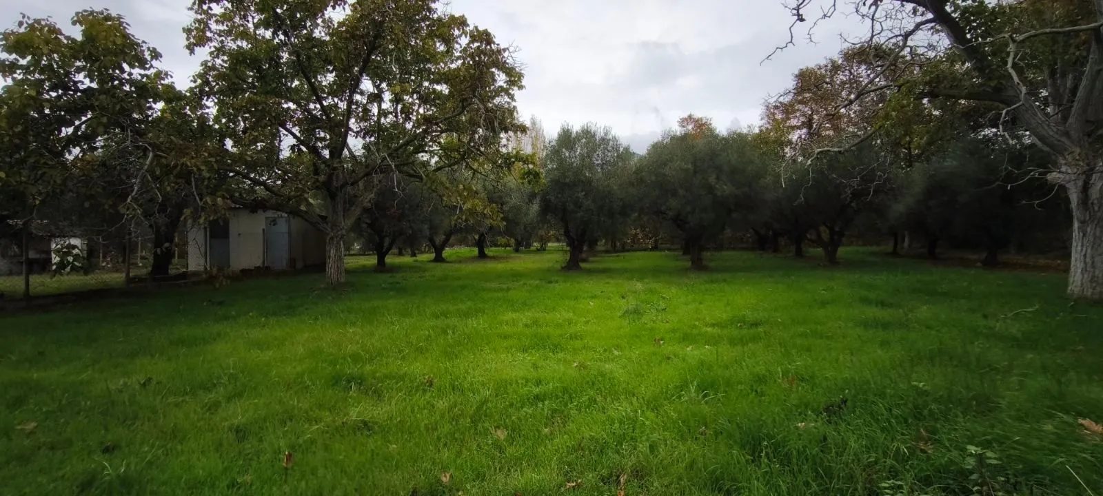 Plac – Neos Marmaras · fotografija 4