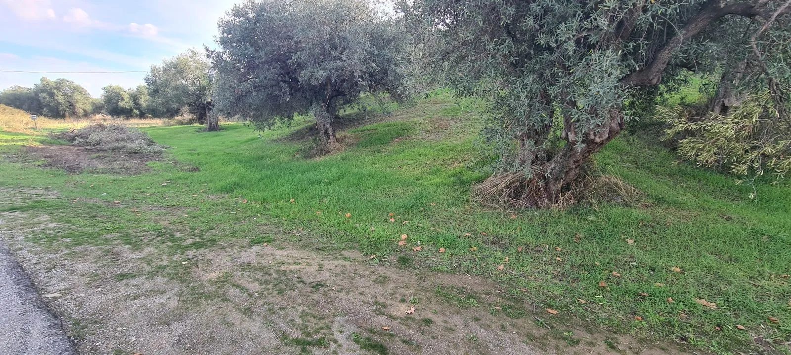 PLAC – SALONIKIOU · fotografija 10