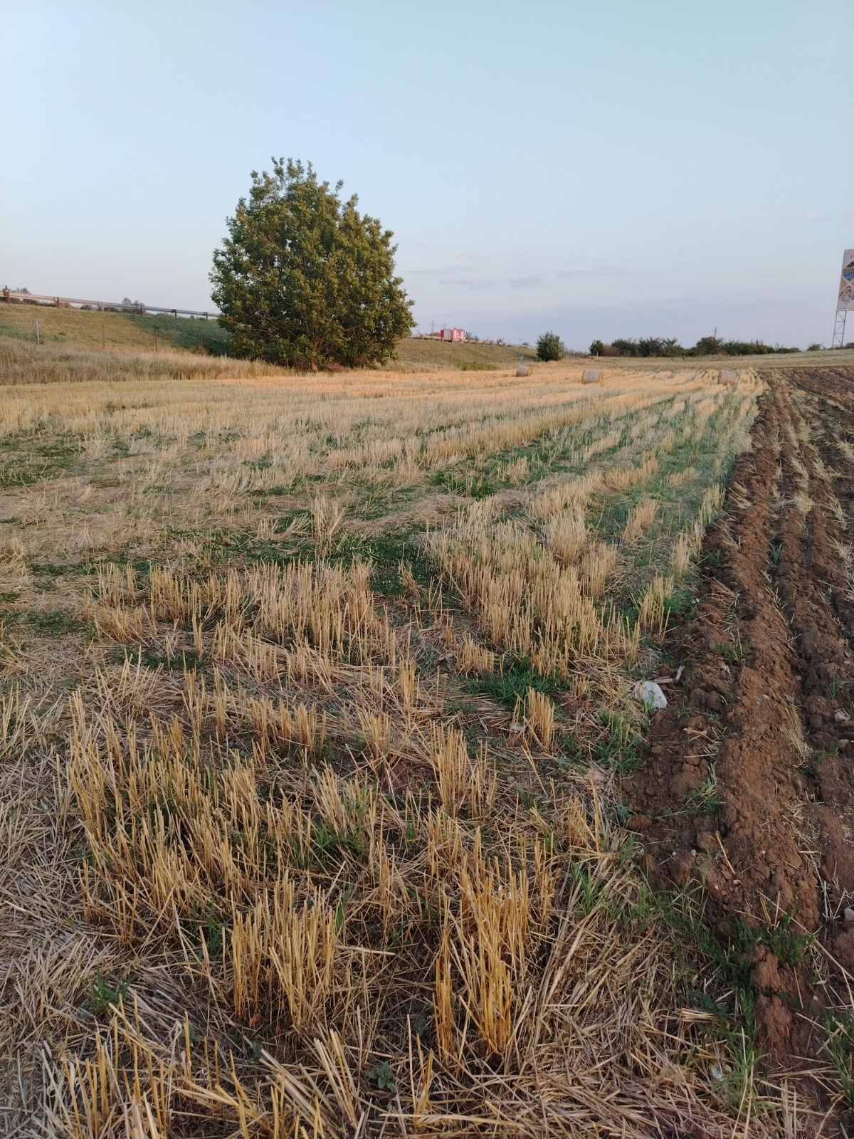 Αγροτεμάχιο δίπλα στον αυτοκινητόδρομο · φωτογραφία 2