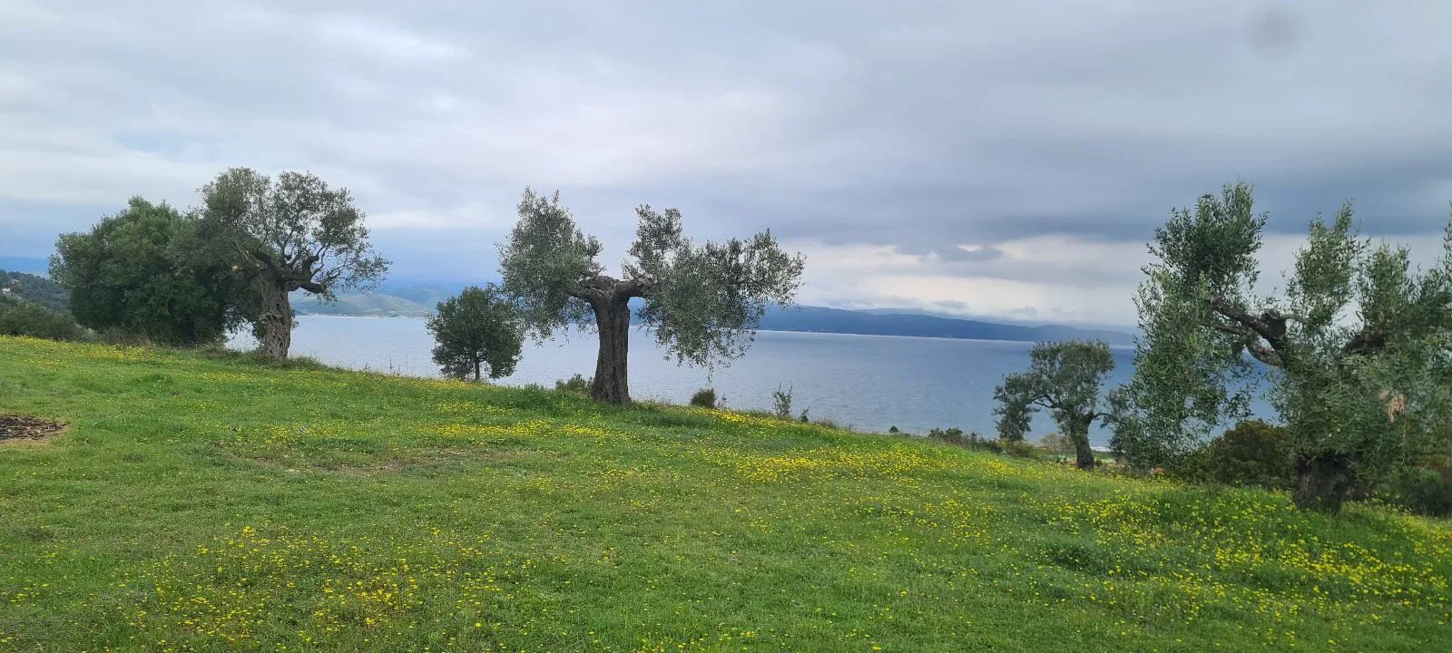 PLAC – AGIOS NIKOLAOS · fotografija 7