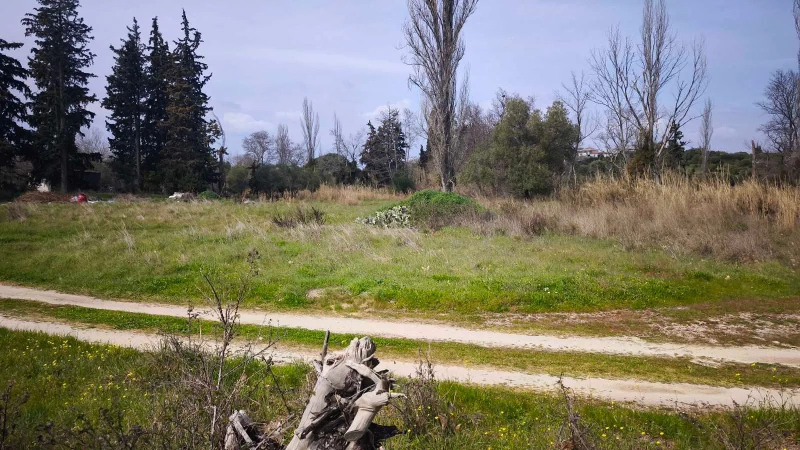 Grundstück – Paralia Nikiti · Foto 15