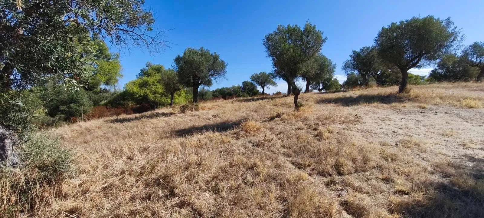 PLAC – ORMOS PANAGIAS · fotografija 4