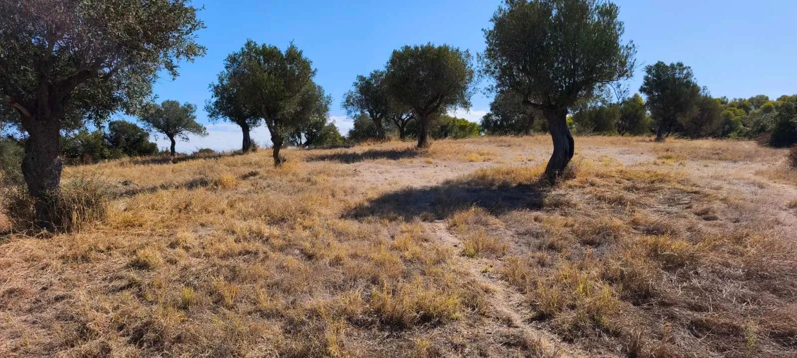 PLAC – ORMOS PANAGIAS · fotografija 18