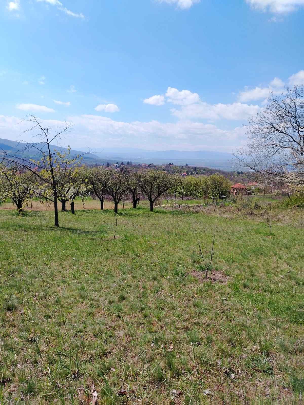PLAC – DONJE VLASE · fotografija 3
