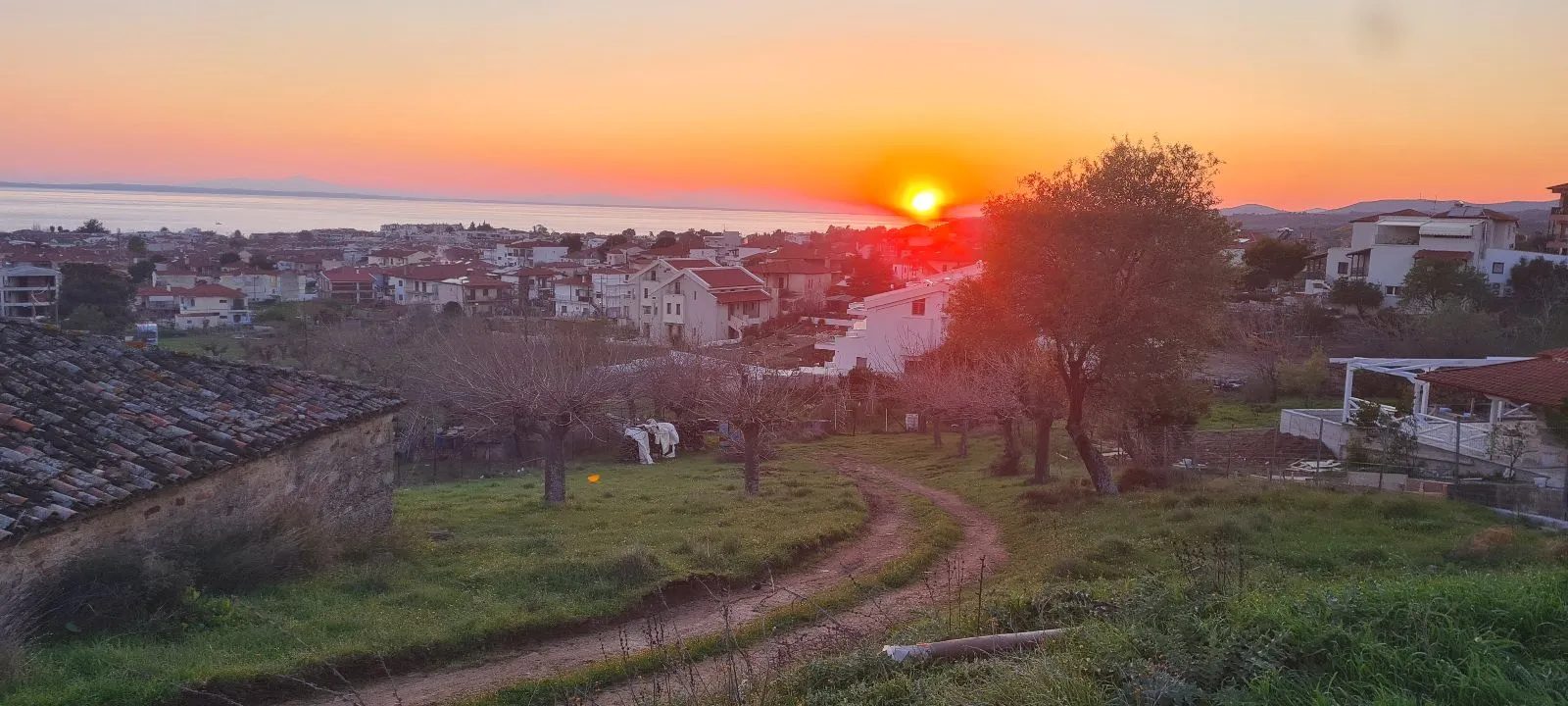 PLAC – NIKITI