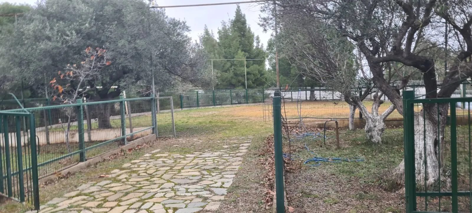 Haus – Elaionas · Foto 11