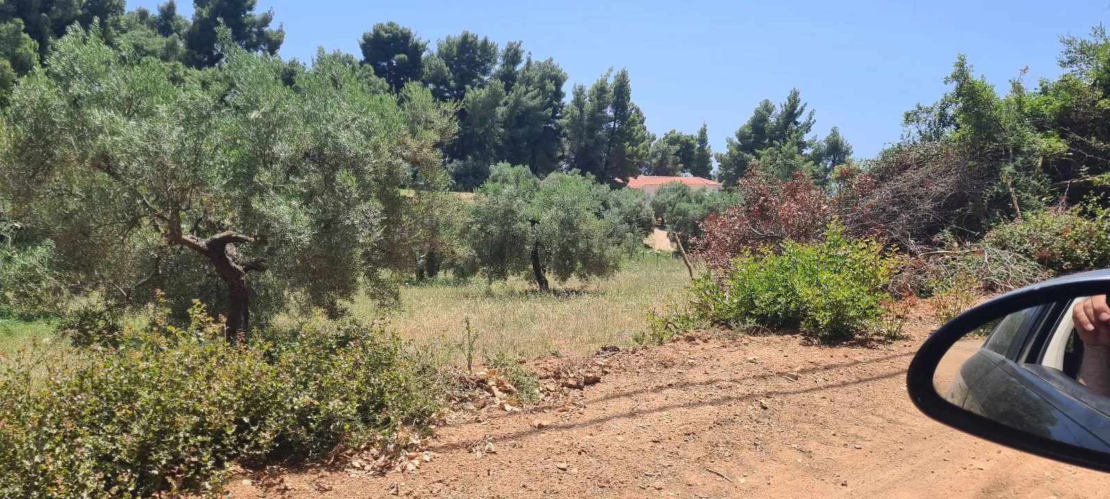 PLAC – PARALIA NIKITI