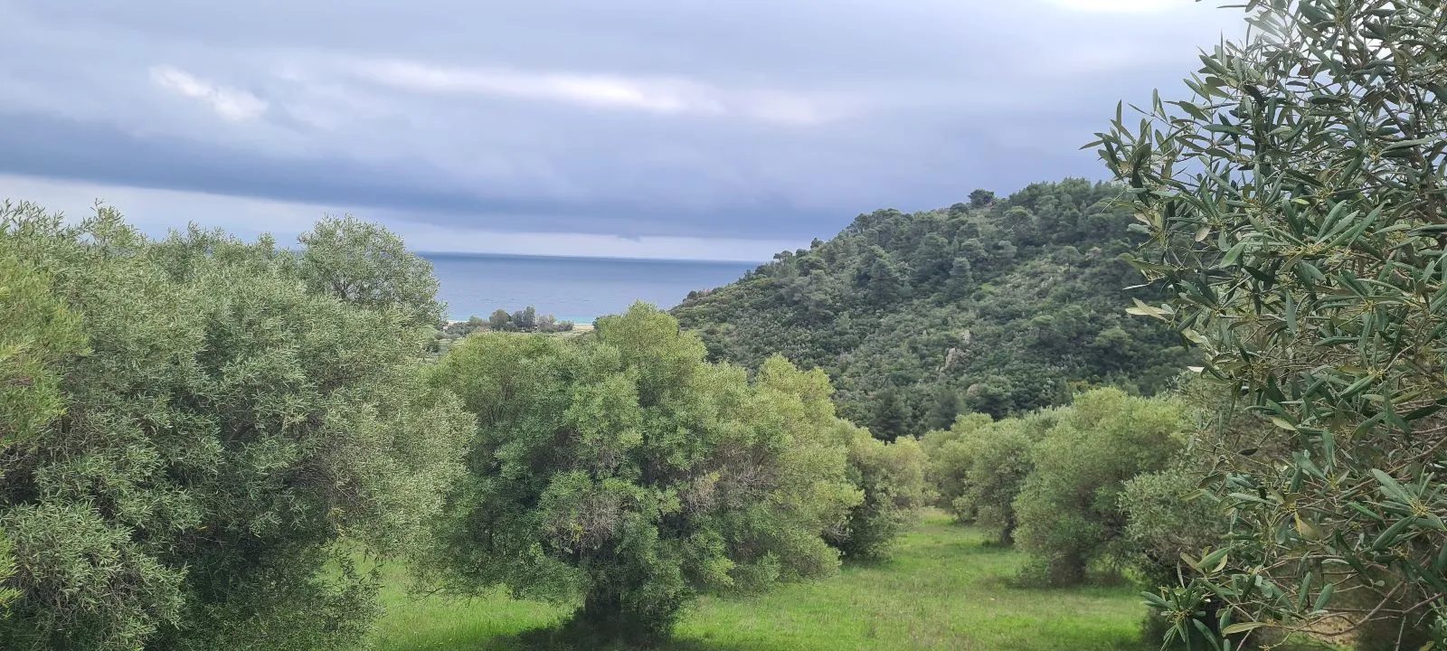 PLAC – AGIOS NIKOLAOS · fotografija 8