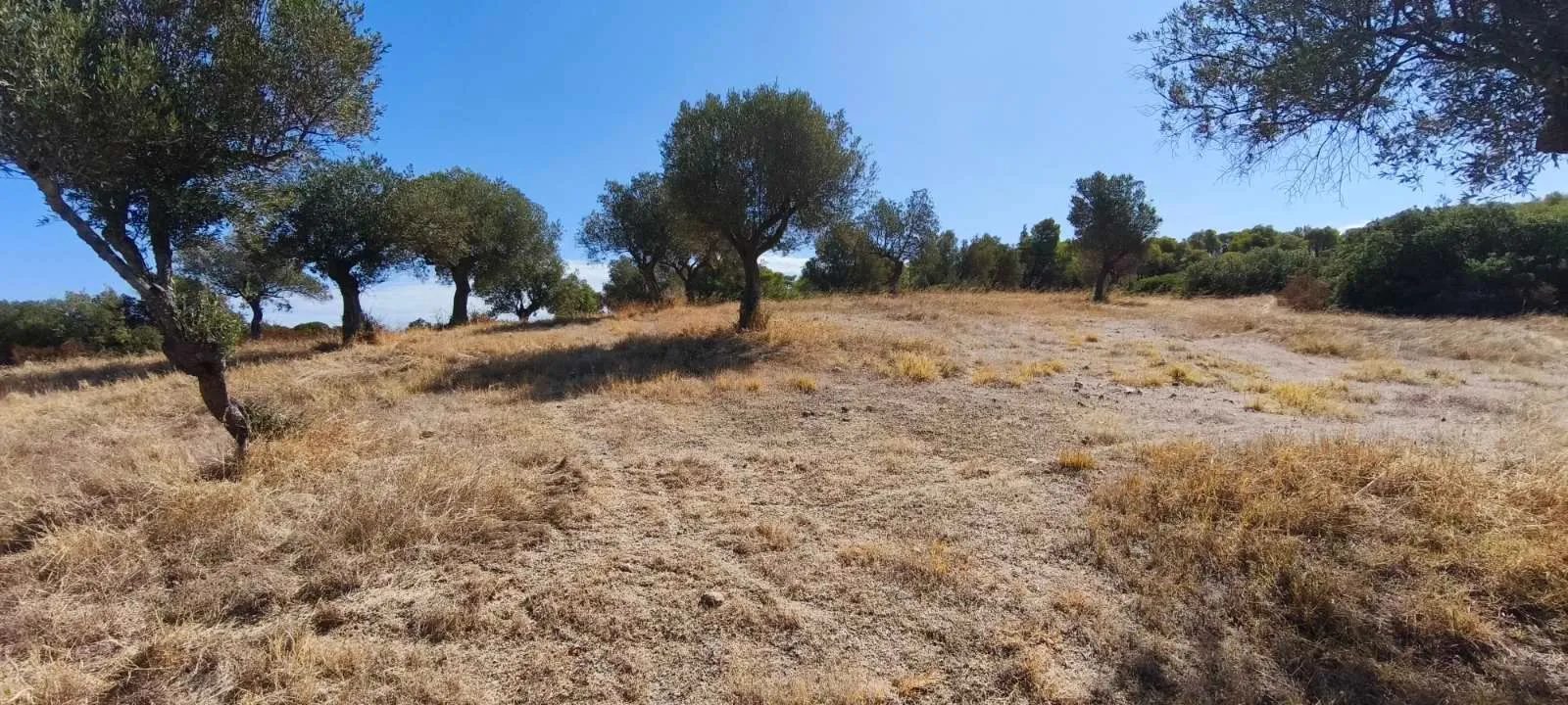 PLAC – ORMOS PANAGIAS · fotografija 16