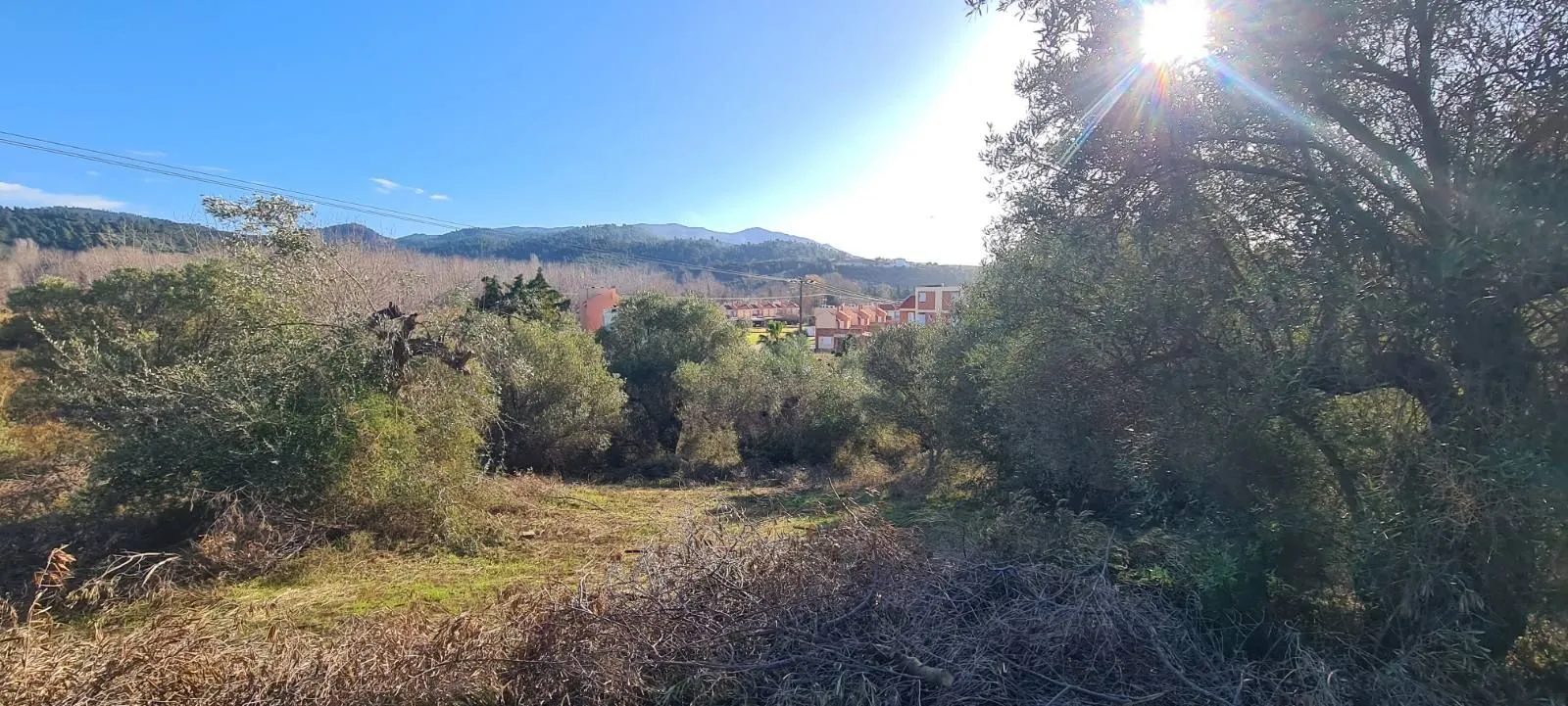 PLAC – TRIPOTAMOS · fotografija 11