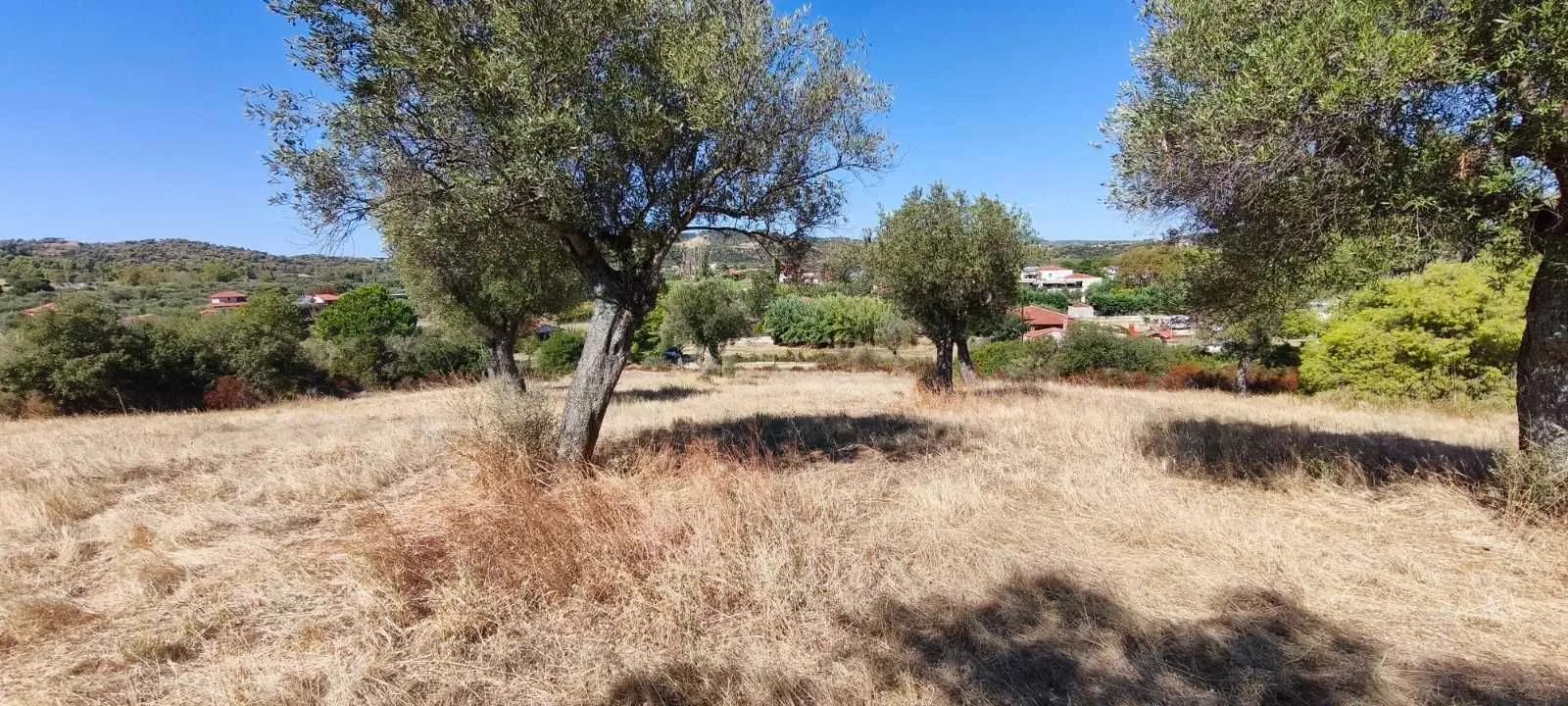 PLAC – ORMOS PANAGIAS · fotografija 6