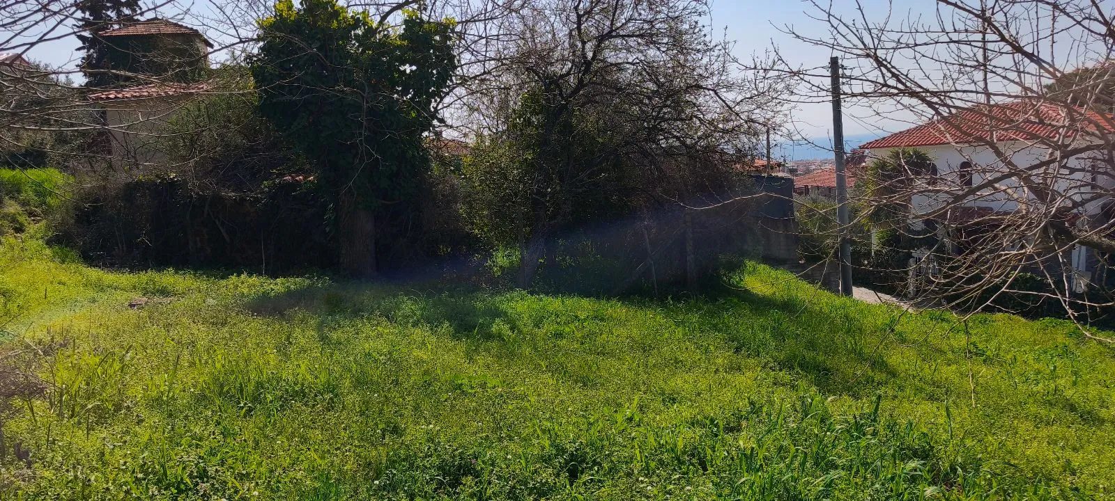 Plac – Nikiti · fotografija 11