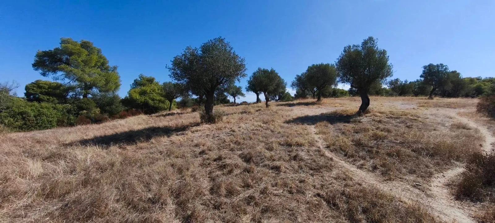 PLAC – ORMOS PANAGIAS · fotografija 8